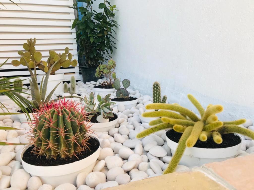 שאקה La Casa Del Pescatore מראה חיצוני תמונה