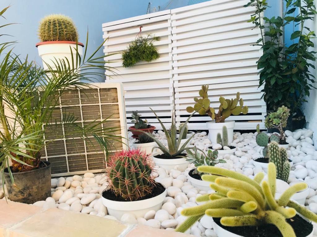 שאקה La Casa Del Pescatore מראה חיצוני תמונה
